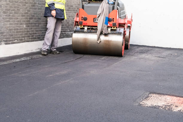 Best Driveway Grading and Leveling  in Otsego, MN